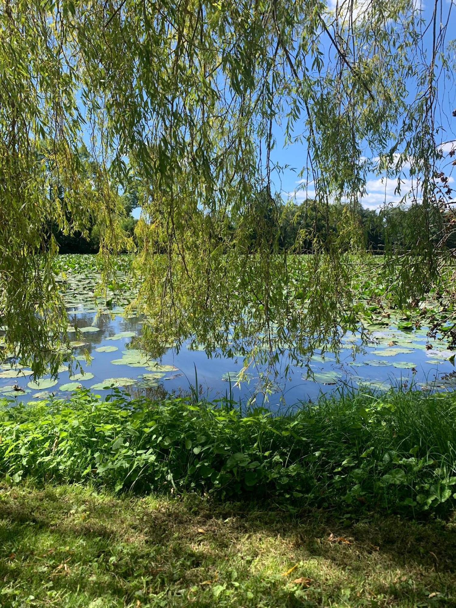 Abbaye De Blanchelande Bed & Breakfast Neufmesnil Bagian luar foto