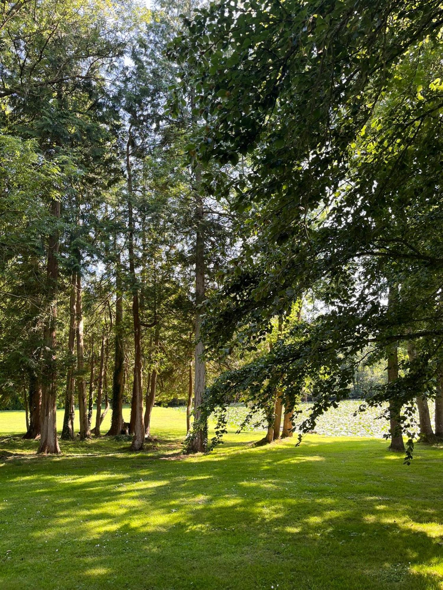 Abbaye De Blanchelande Bed & Breakfast Neufmesnil Bagian luar foto